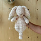 Mini Honey Bunny Knotted Lovey ⋒ Blush Ombre Blankie Body